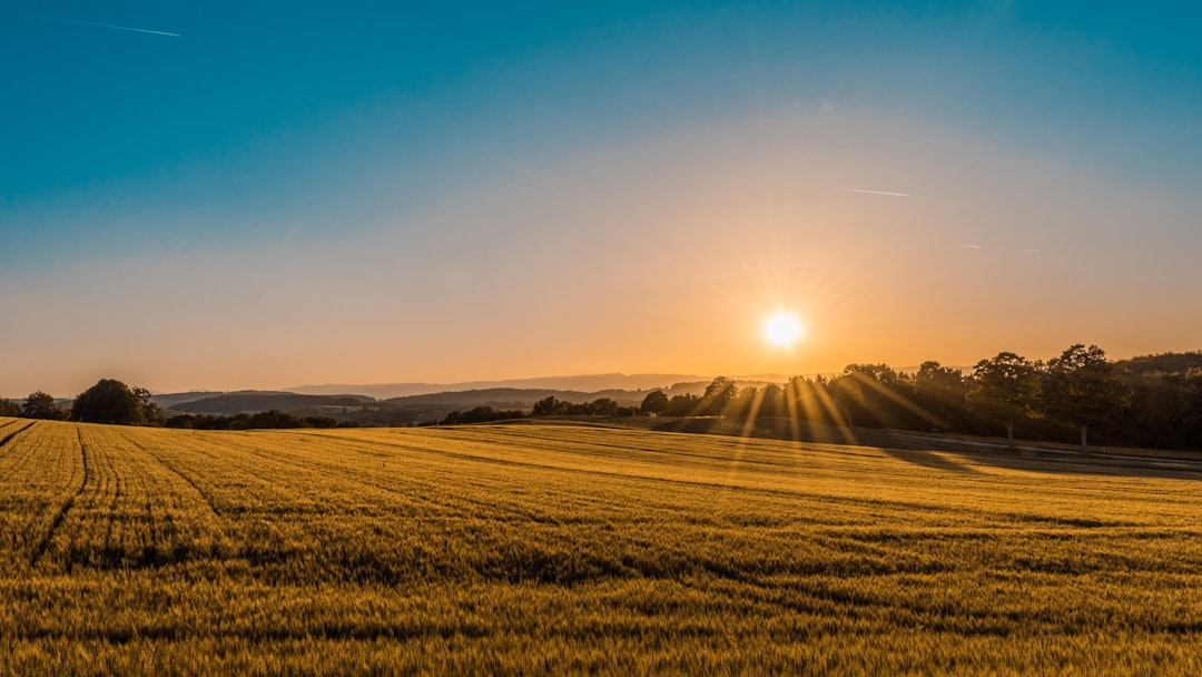 September Farms: A Harvest of Abundance